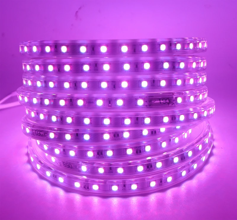 RGB LED Strip SMD 5050 AC220V Waterproof Flexible light Ribbon Tape 220V lamp Outdoor String 60LEDs/M For Christma holiday