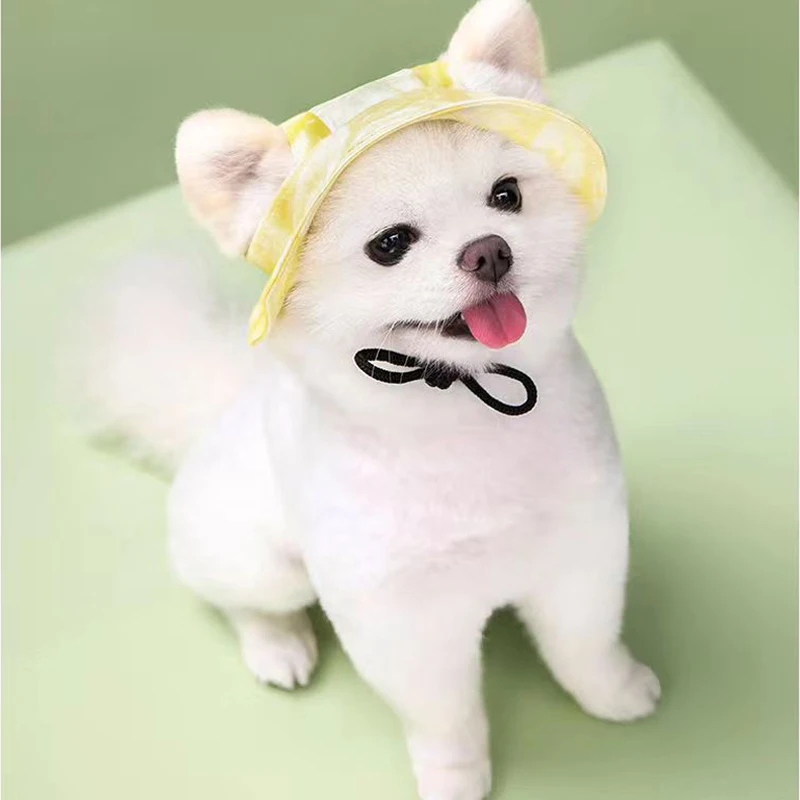 Custom Small Four Seasons Cute Sun-proof Adjustable Pet Hat Adjustable Pet Baseball Cap With Ear Holes Dog