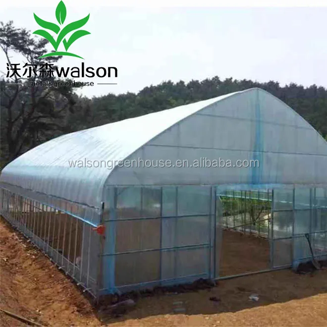 Venlo Type PC sheet Tunnel Agricultural Greenhouse Kits With Hydroponic Systems For Sale (1600430586774)