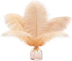 Wholesale Large White Carnival Festival Ostrich Feather 15-80cm Dyed Ostrich Feathers Trims for Wedding Decoration