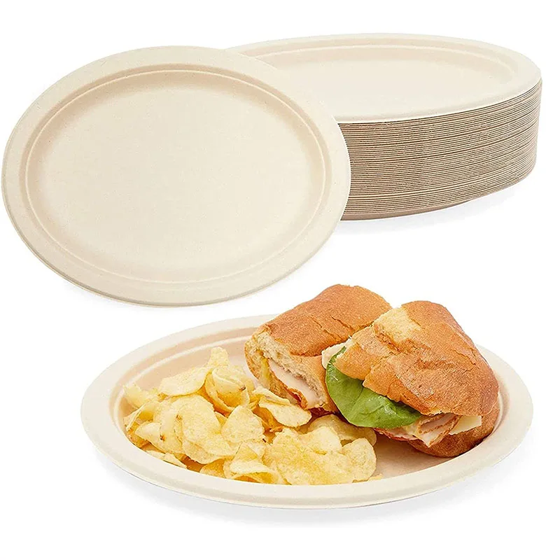 Compostable 6 Inch Plate - 100 Pack - Natural Disposable Bagasse Plate - Eco-Friendly Plate Made of Sugarcane Fiber