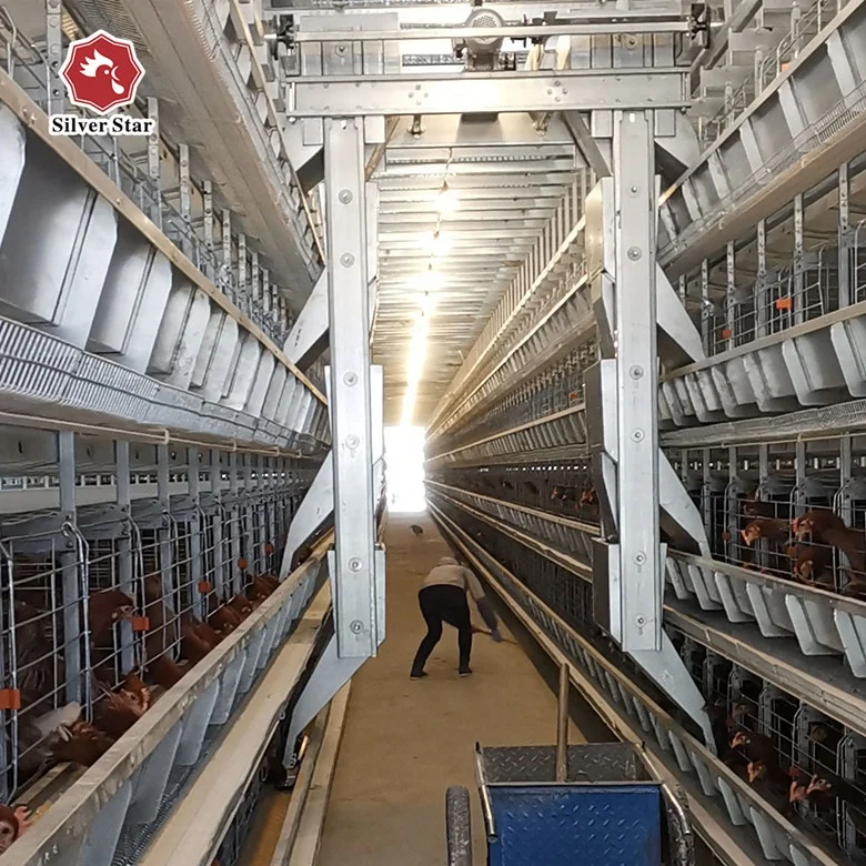 laying henegg layer battery H type cheap chicken cagescoops for sale.jpg