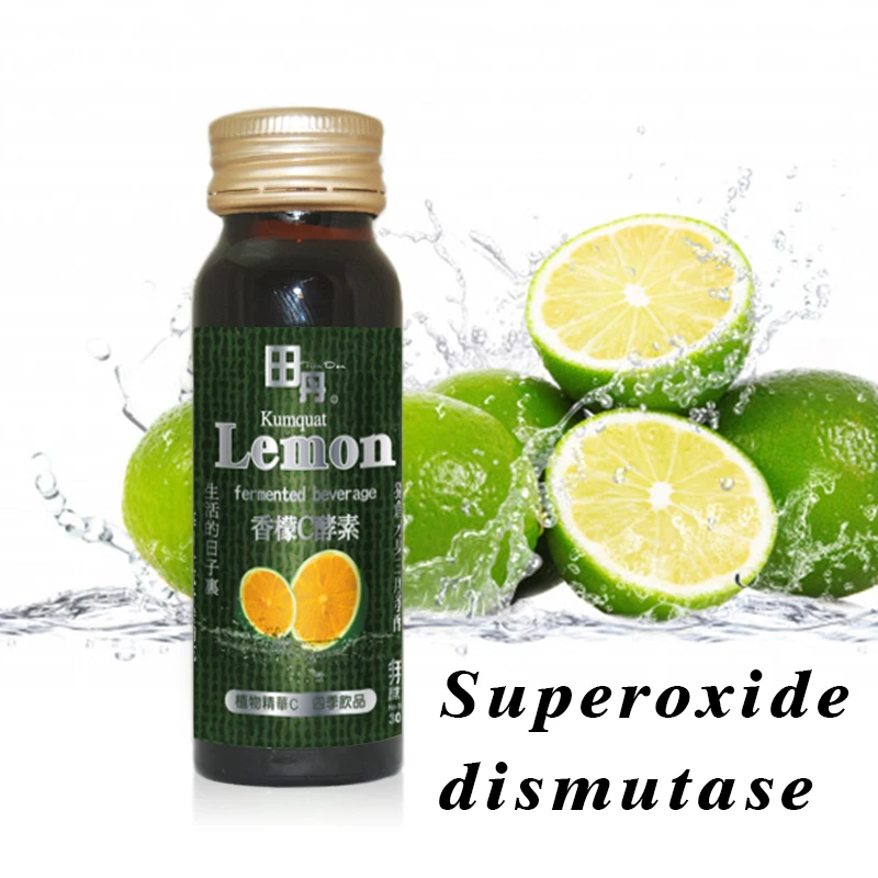 Hot Selling Cheap Enhance LDL Metabolism Low Fat Kumquat Lemon Drink