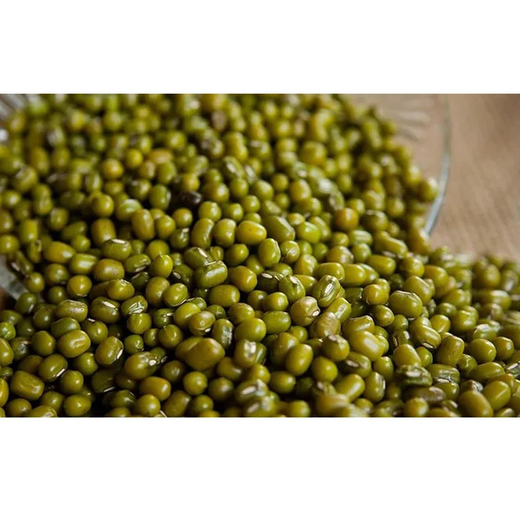 
Export Agroculture Organic Vigna Green Mung Beans From Uzbekistan 