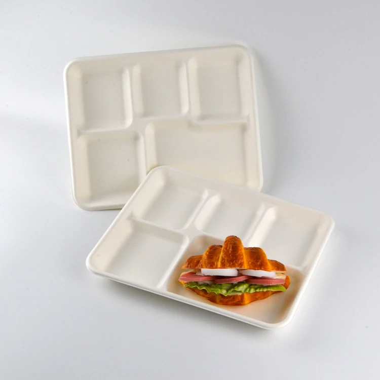 Bagasse 5 Division Tray 5 Compartments Sugarcane Plate 5 Compartment Biodegradable Lunch Tray