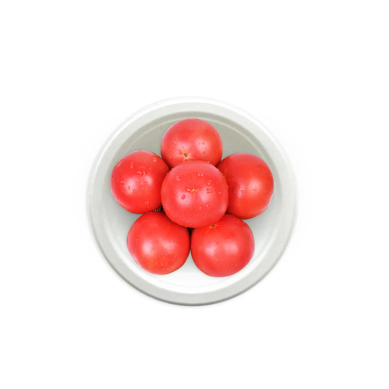 Meat Tray Disposable Sugarcane Lunch Food Party Tray Dish Packing Sample Paper Round Bagasse Plates