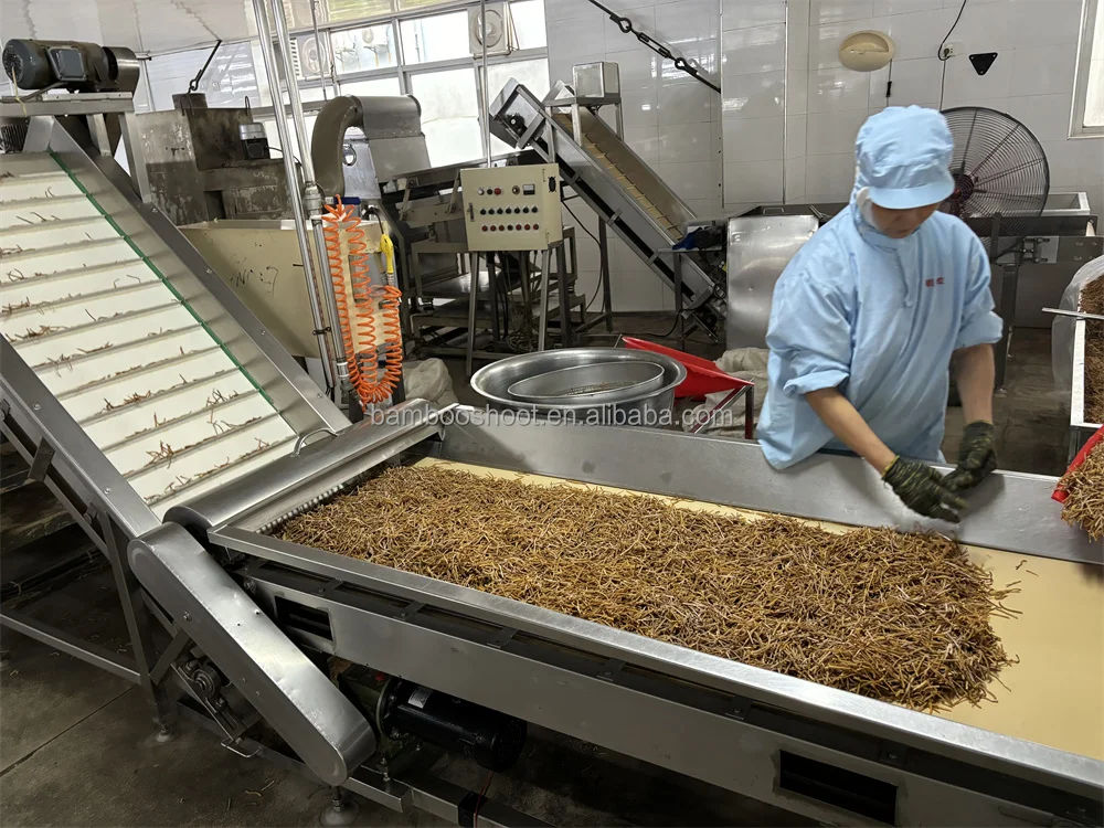 Organic Sulfur-Free Sun-Dried Bamboo Shoots Natural Preserved Vegetables Direct from Chinese Factory