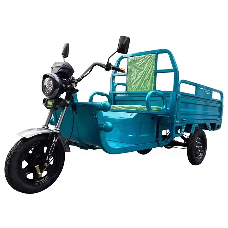 US/EU warehouse factory direct sale China hot sell cheap electric tricycle 3 wheeled Electric tricycle with cargo tricycle
