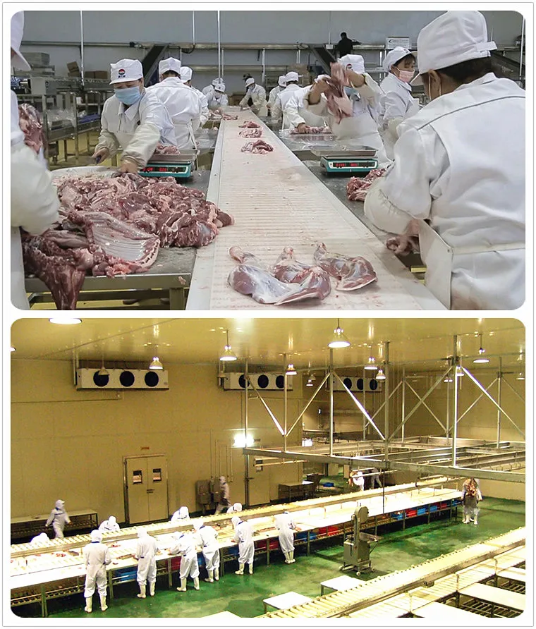 halal_goat_abattoir_with_lamb_slaughter_house_meat_process_butchery_system_equipment