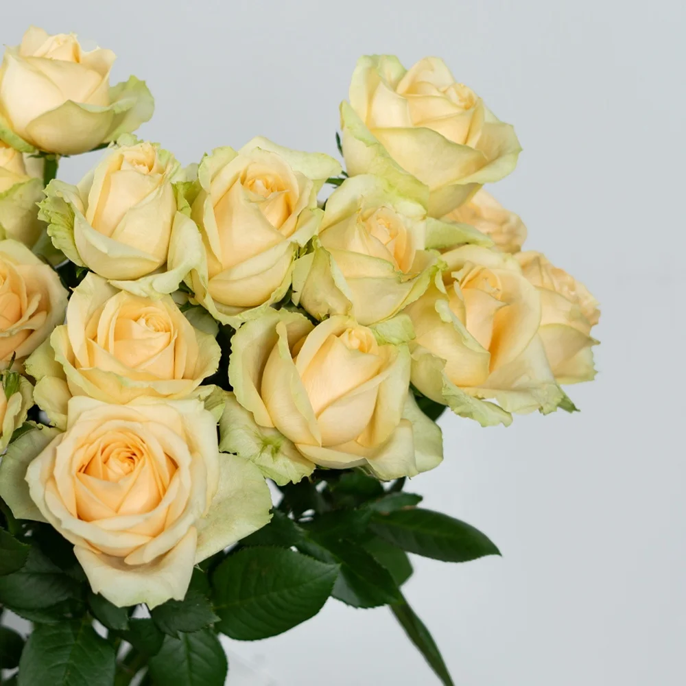 China Wholesale Long Stem Natural Bulk Fresh Cut Flowers Roses for Wedding Decoration
