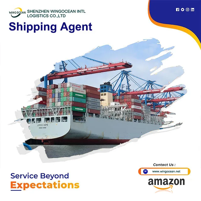 Cheapest logistics agent shipping FBA Door to Door logistics service LCL shipping agent from china to Czech Republic