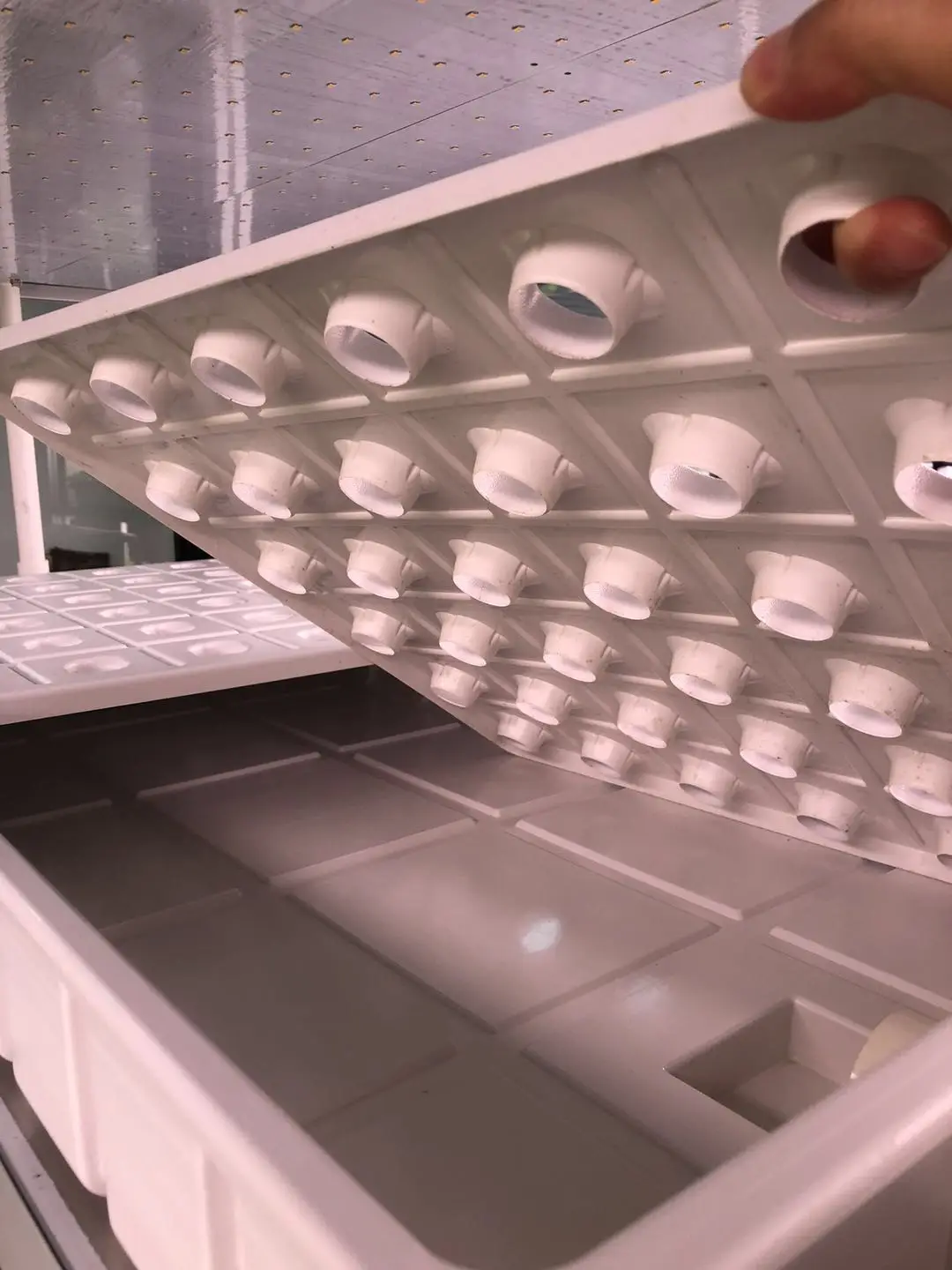 
ABS Vacuum Forming White Growing Plastic Nursery Tray Hydroponic Seeding Planting Plastic Tray 