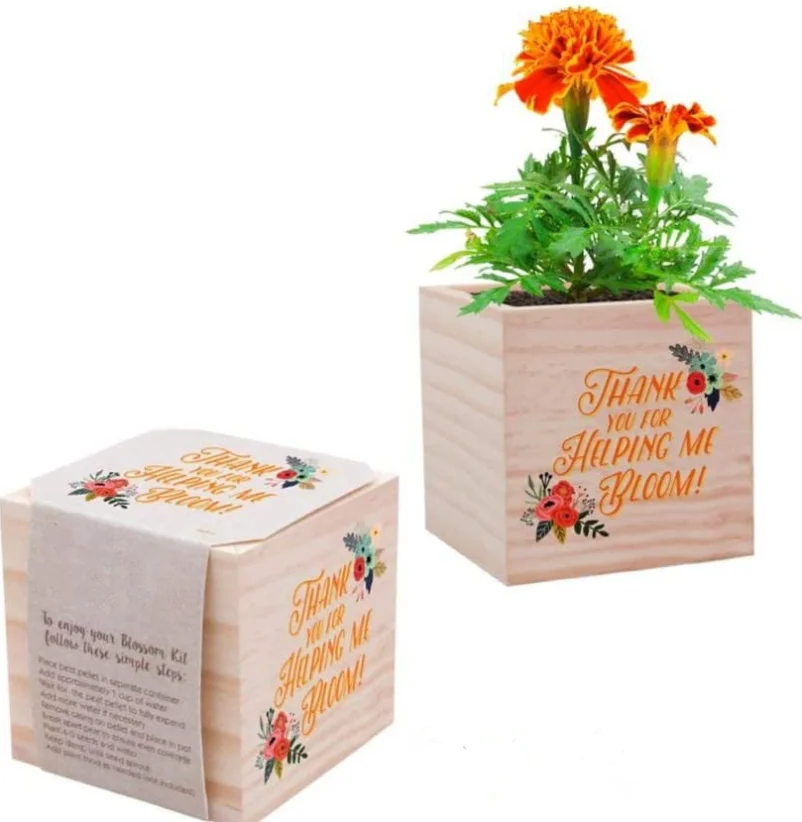 plant Cube Appreciation Gift and Wooden Planter - Employee Teacher Thank You  Desk Accessory