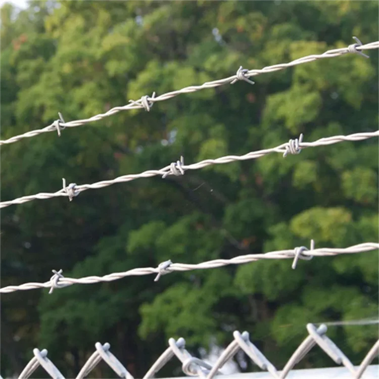 Corrosion Barb Wire Fence Roll Barb Wire Fence Roll Galvanized Barbed Wires For Agricultural Fence