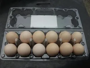 RJD-720 automatic vacuum forming machine thermoforming equipment