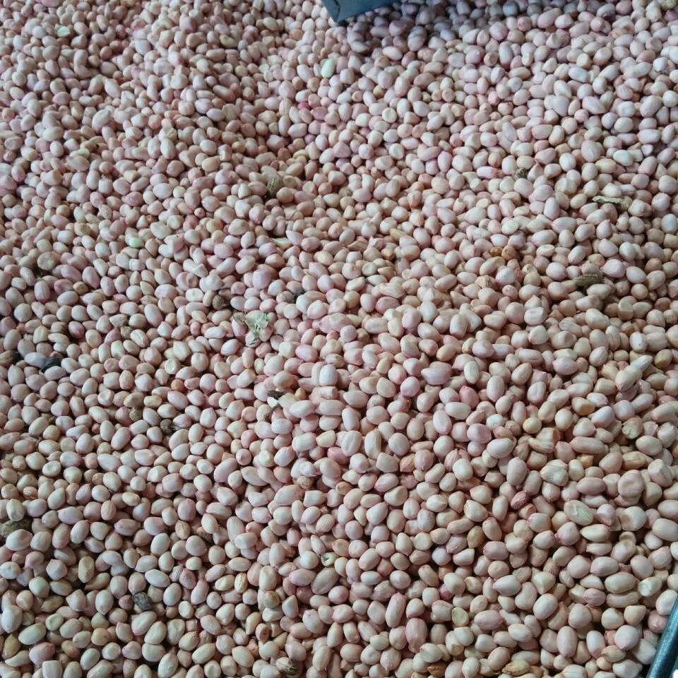 Супер качество, поставка арахиса, 8090 штук в индивидуальной упаковке и обычной упаковке, розовое арахисовое масло, любое количество, экспортный класс