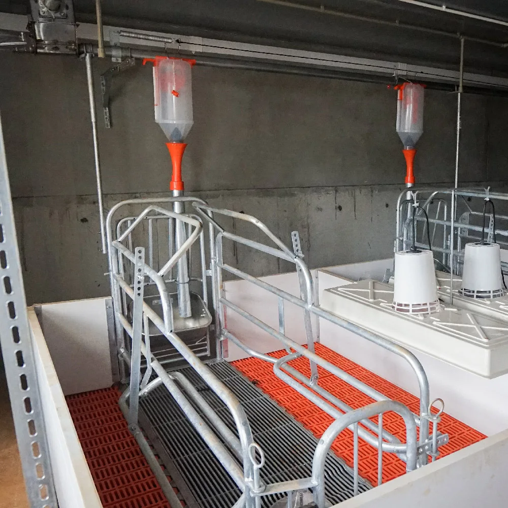 Location Bar Sow Completely Design Factory Direct Sale Pig Farrowing Pens