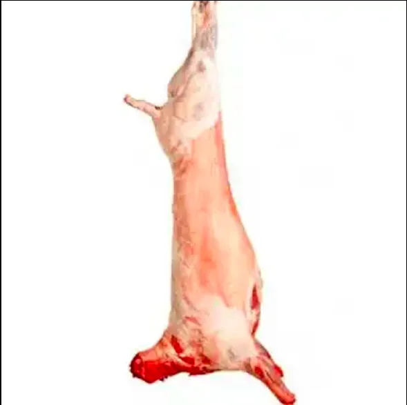NEW ZEALAND HALAL FRESH FROZEN GOAT/MUTTON MEAT/LAMB MEAT CARCASS