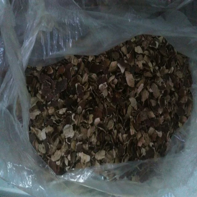 WHOLESALE DRIED CASHEW HUSK POWDER/ CASHEW SHELL NUT WASTE, VIETNAM CASHEW HUSK