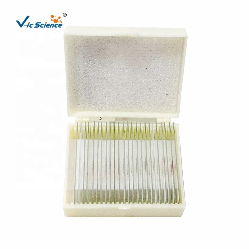 medical science high quality and best price for Middle school teaching and learning histology microscopes prepared slide