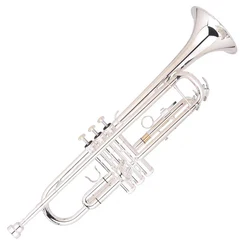 Quality OEM Performance Instrument Brass Instrument Gold lacquer professional Trumpet