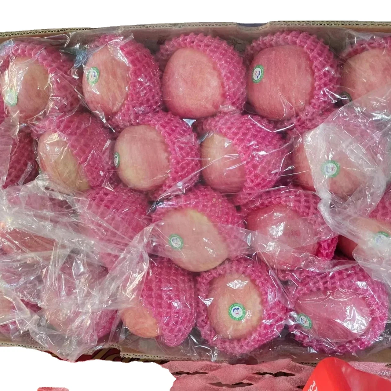 2024 Лучшая цена Фудзи яблочный продукт свежие яблоки