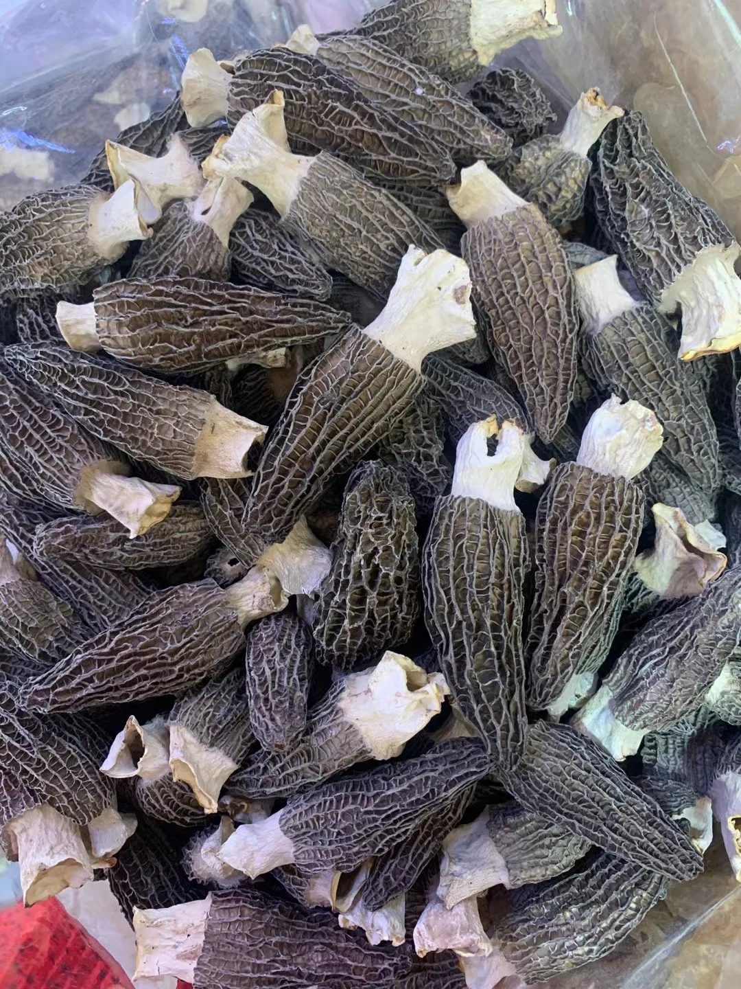 
In Bulk Supplying Great Hongos Texture Package Precio Price Wild Black Dried De Fresh Morchella Mushroom 