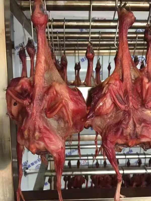 Fully automatic heat pump dryer meat scorpion drying room