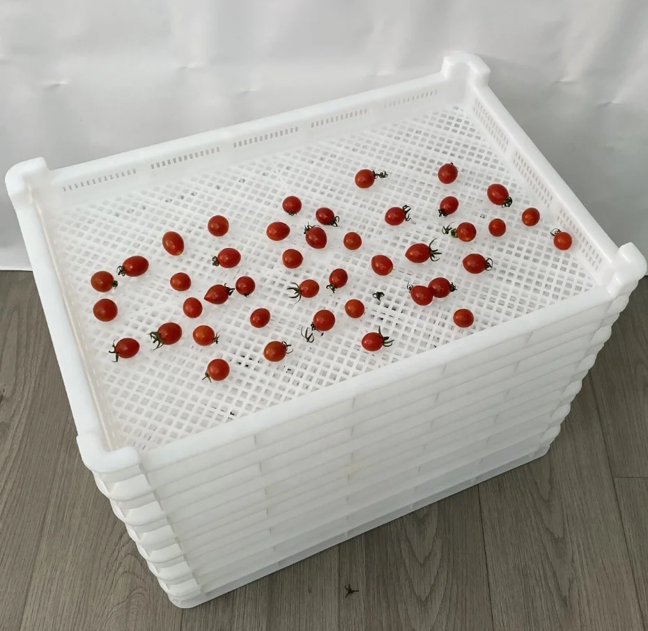 Factory wholesale high quality and low price  plastic drying tray for dehydration vegetables