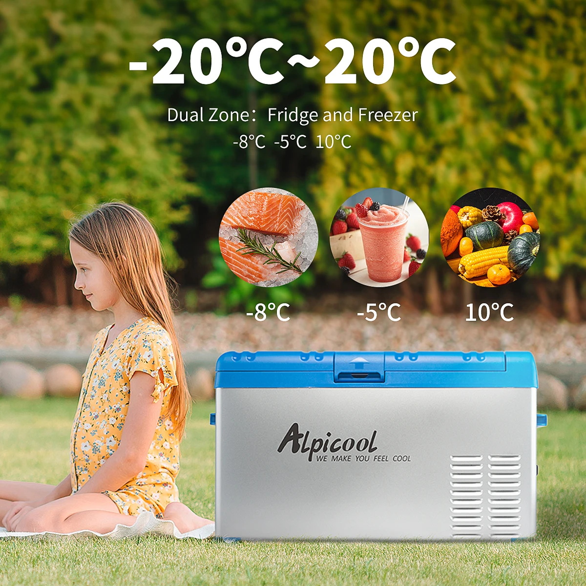A75 Alpicool camping portable car fridge 63.8L electric 12V 24v 100-240v AC DC L G compressor fridge freezer for car and boat