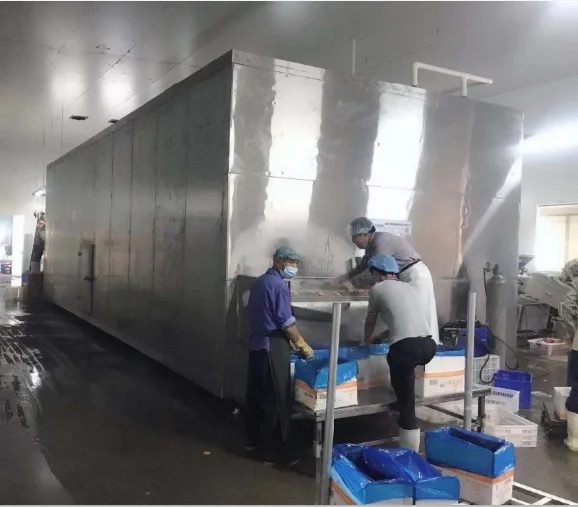 Fruit, Berry,Vegetable,And Seafood Single Quick Frozen Machine Suitable For 15g Products/Fluidized Bed Freezer