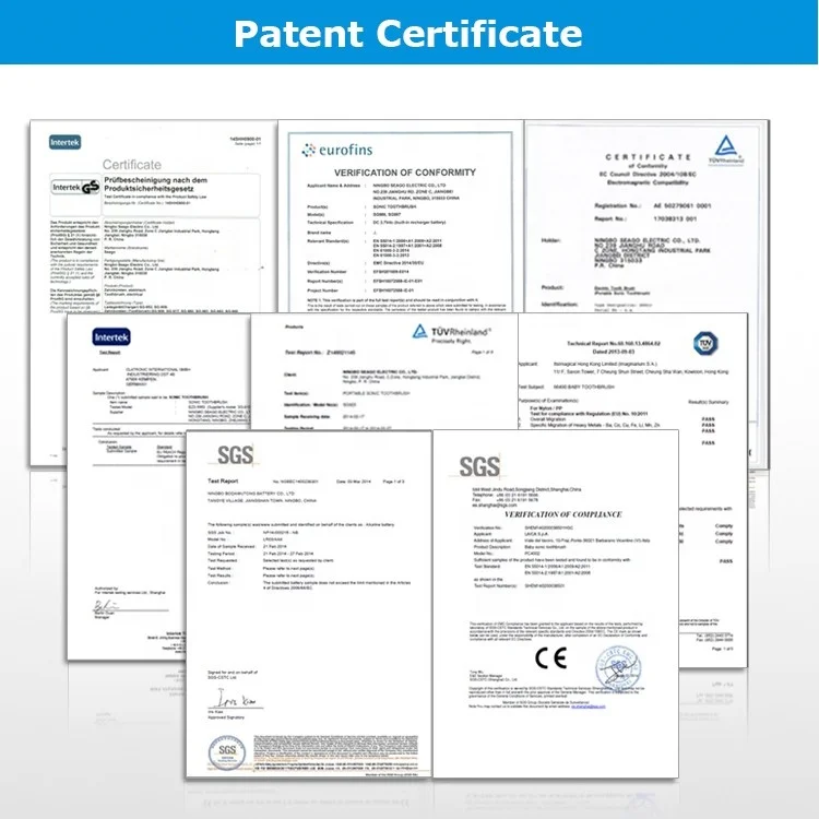 Seago Adult Fashion 2 In 1 Portable Waterproof Automatic Battery Powered Sonic Electric Toothbrush With UV Sterilizer
