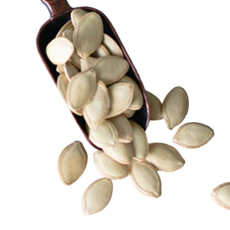 Guaranteed quality proper price snow white raw pumpkin seeds