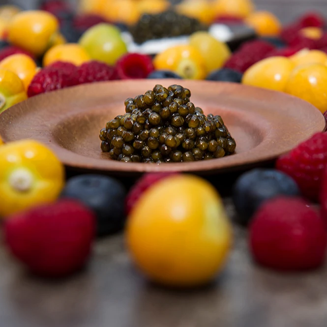 Hot sale delicious KalugaQueen High Grade Hybrid black caviar sturgeon