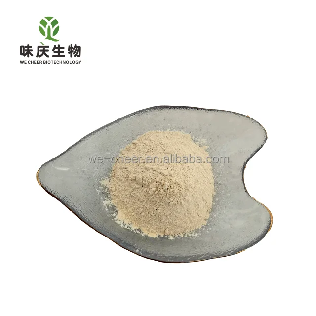 White kidney bean extract