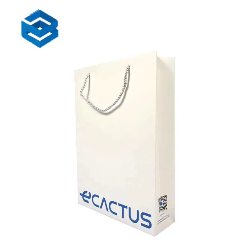 Customized Luxury White Ivory Cardboard Art Paper Gift Bag Bags Cardboard Wholesale with Ribbon Handling