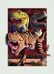 Factory Direct Sales anime 3d poster 60 lpi lenticular sheet 40 lpi lenticular sheet The most competitive price