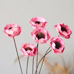 2022 Yunnan Wholesale The Most Popular Dried poppy flower Dried Fruit Dipsacus Sativus for Christmas