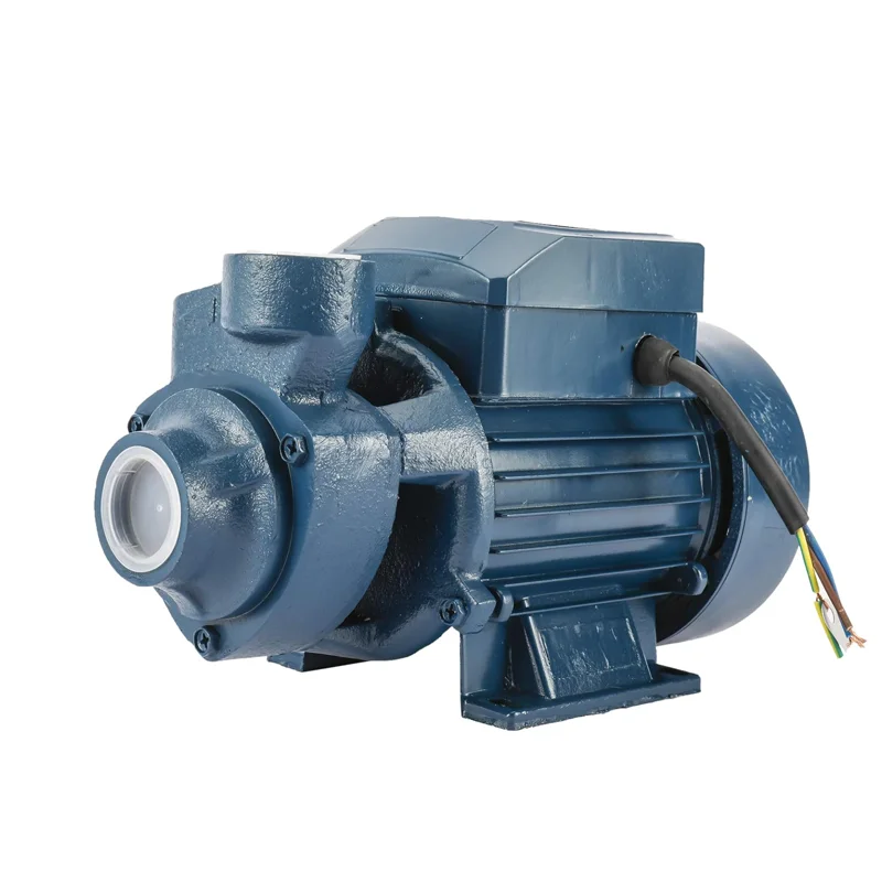 High Pressure 0.37kw Electric Single-Stage Peripheral  220V Water Pump Heat Pump System Wastewater Treatment Model QB60 OEM
