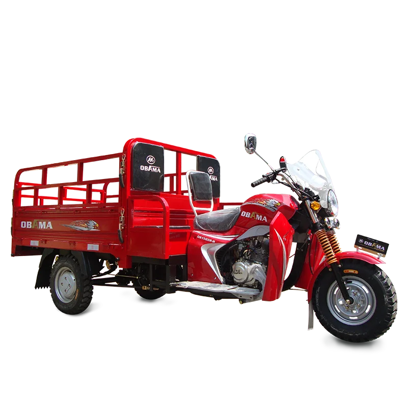 2021 Hot selling low price 150cc diesel cargo motorcycle
