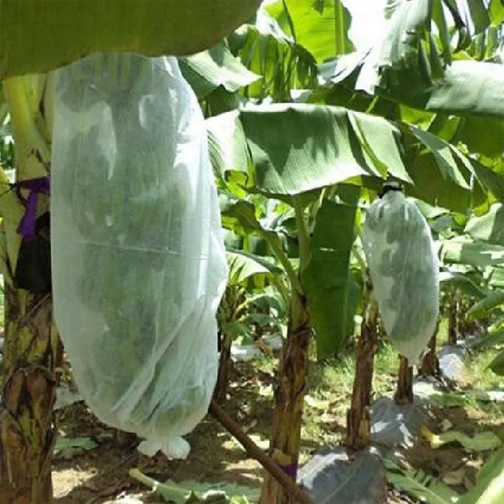 
 Биоразлагаемые нетканые мешки для защиты бананов и фруктов, защита от птиц  