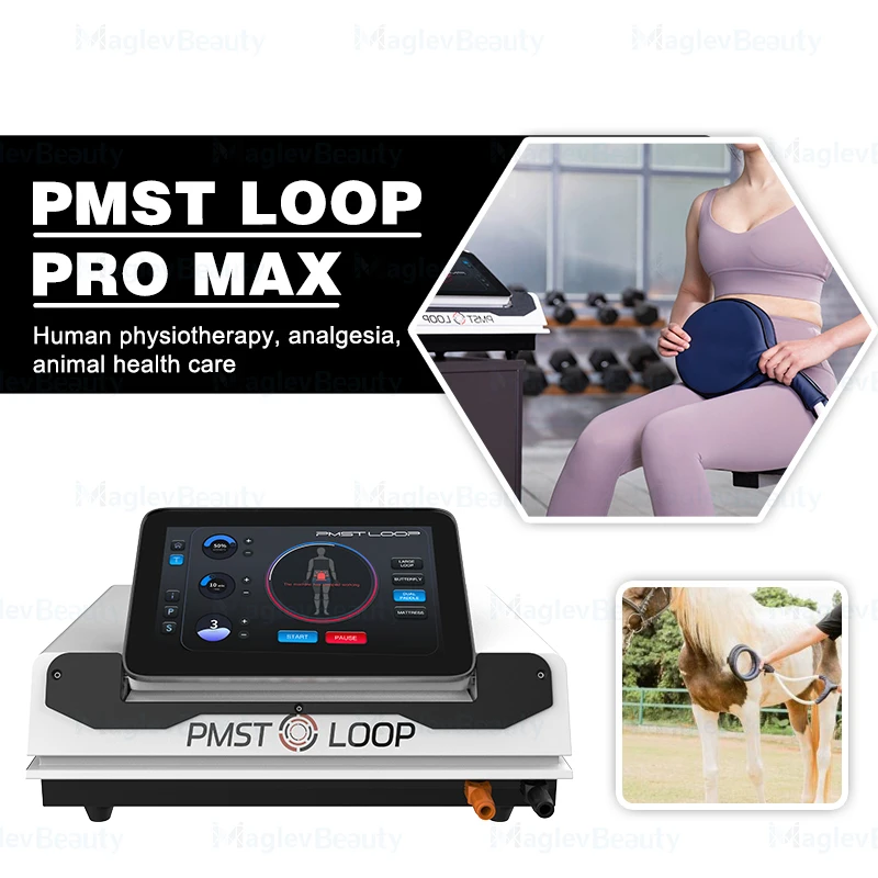 Professional PEMF Mat Magnetic Physical Therapy System For Human Body Pain Recovery Horse Rehabilitation Equip Physical Therapy