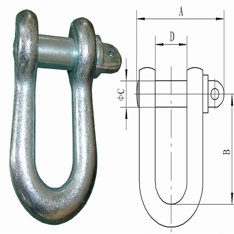 Rigging Lifting European D Shackle Type With Screw Pin U-Bolt Crane Cable High Strength Shackle