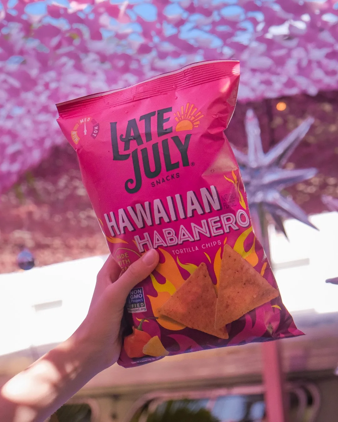 Оптовая продажа упаковка для картофельных чипсов