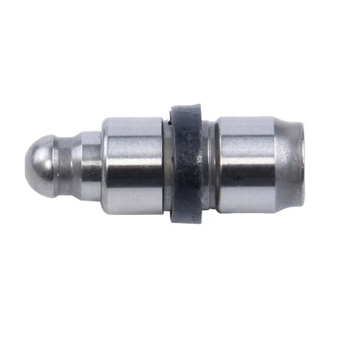 Valve Lifter Tappet Hydraulic Lifter 036109423A for Audi