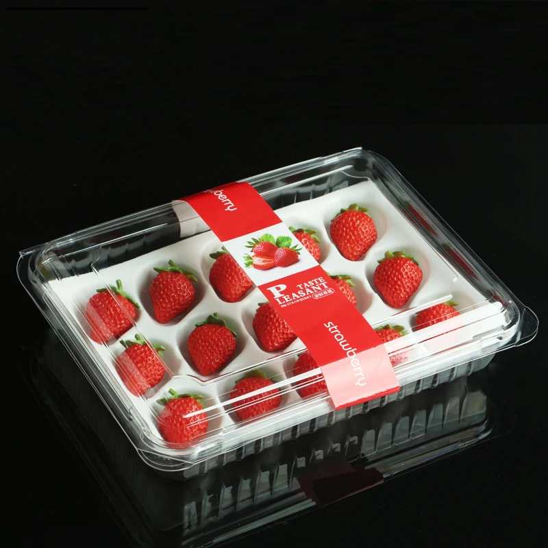 Disposable PET Clear Plastic Fruit Strawberry Punnet Clamshell Fruit Packaging Container