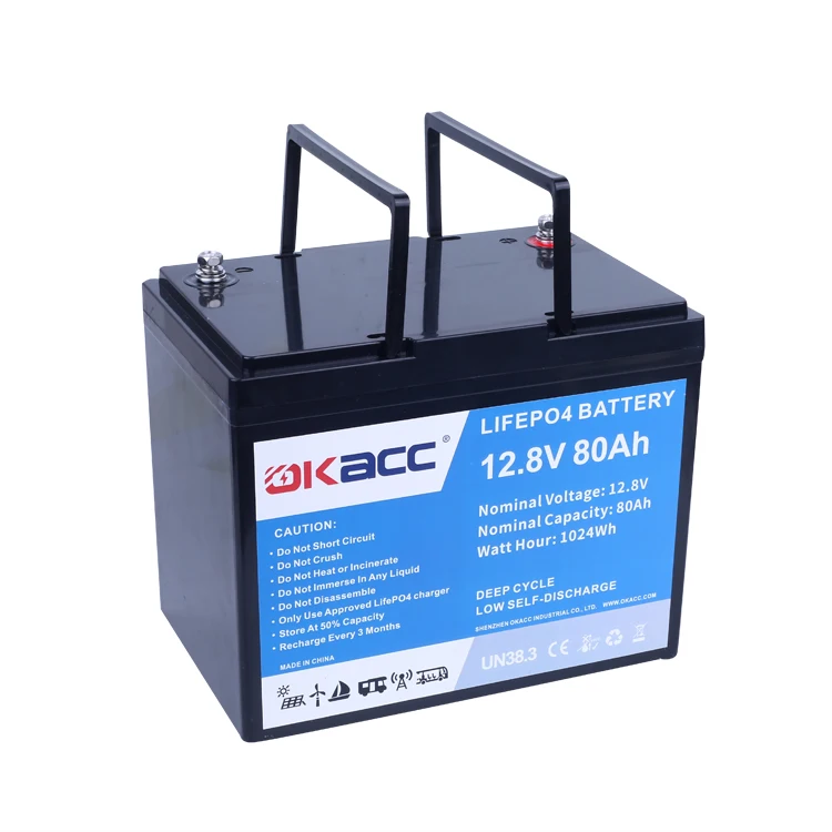 Professional Manufacturing Rechargeable Lithium Ion Car Battery 12V