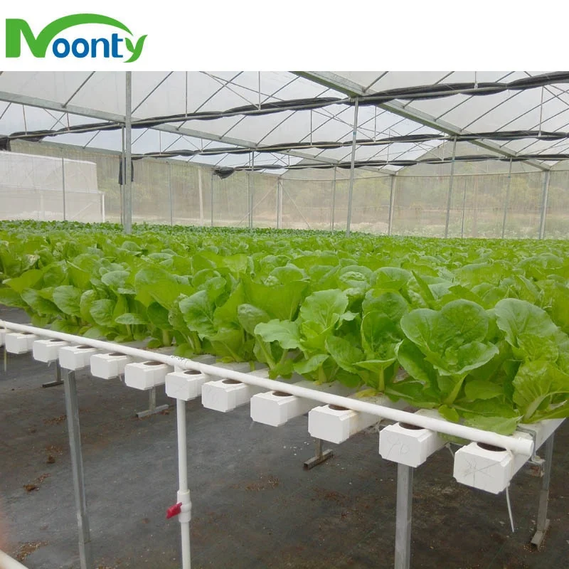 Space Saving Vertical NFT Hydroponics Planting System for Lettuce Herb Tomato