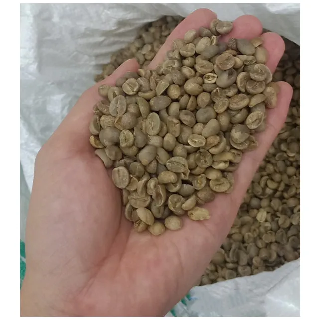 Wholesale Hot Selling  Yunnan Unroasted Beans 100% Fresh Arabica Green Coffee Beans