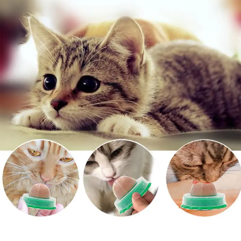 Cat Catnip Toys Pet Products Healthy Nutrition Lollipop Candy Snacks Goods For Cats Sucker Wall Mint Energy Ball